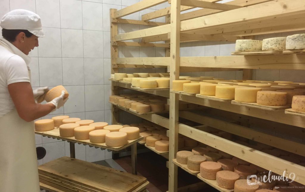 This is Sieglinde from South Tyrol Schenna making Cheese and her cheese shop.