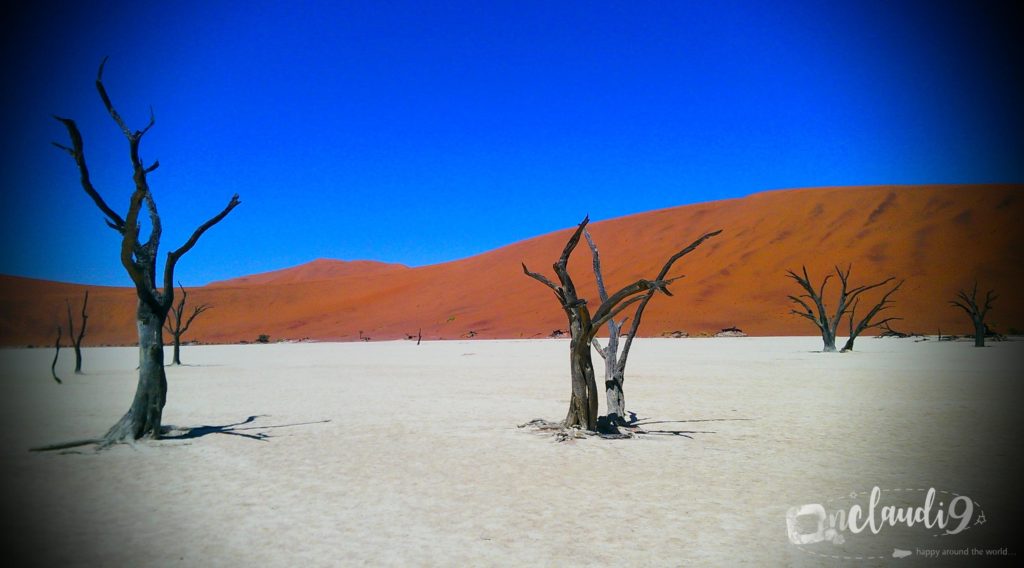 This is Sossusvlei in Naimibia, which is a salt and clay pan. Large red dunes, which are the highest in the world, surround the pan. It´s Namibias most visited attraction.
